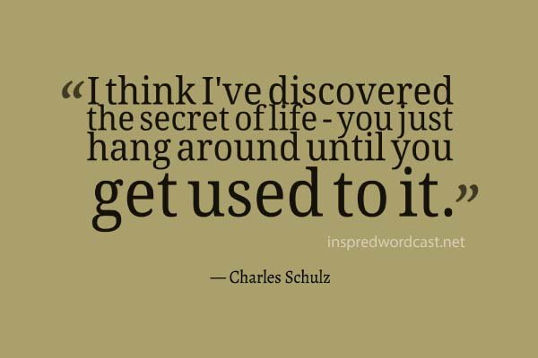 I think I've discovered the secret of life - you just hang around until you get used to it. - Charles Schulz